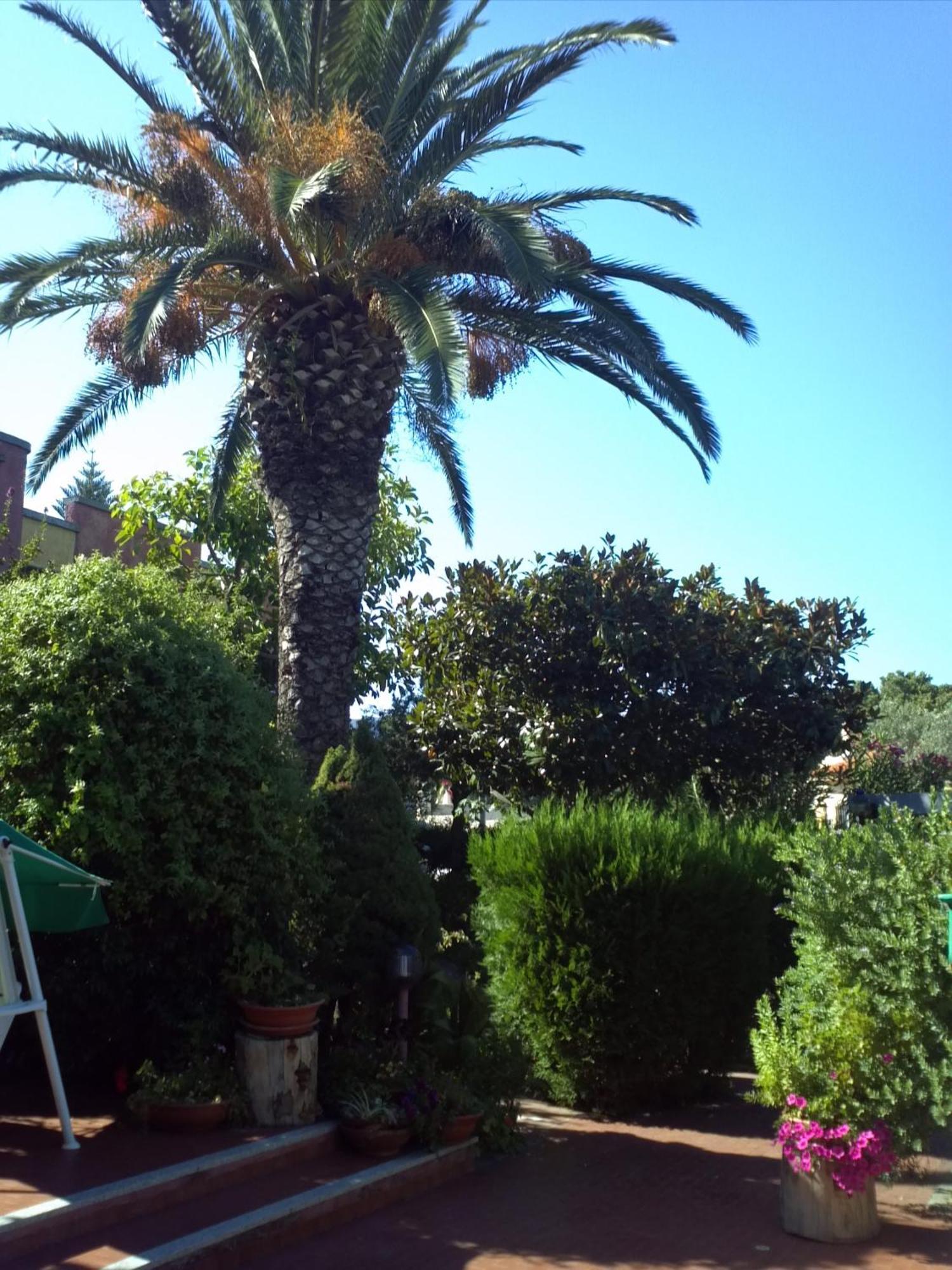 Hotel Abbaruja Olbia Ngoại thất bức ảnh